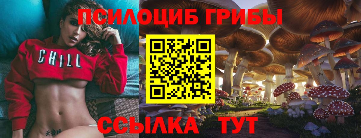 Звенигород  Псилоцибиновые грибы мухоморы  Псилоцибиновые грибы Psilocybe  продажа наркотиков  Вход с VPN 
